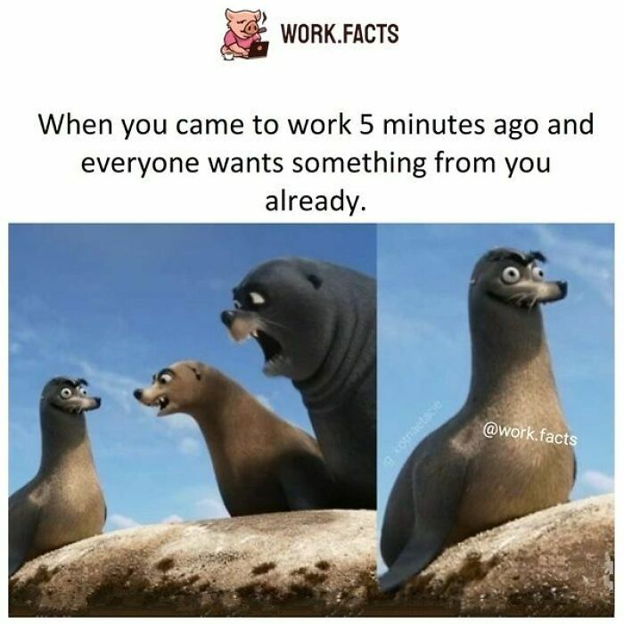 Work-Related-Memes