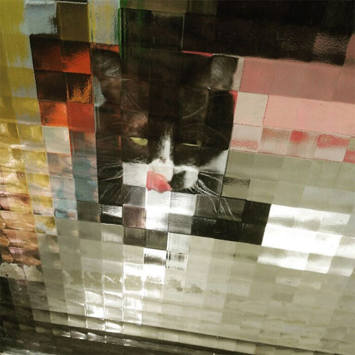 21 Funny Photos Of “Low-Resolution” Cats Behind Pixelated Glass Doors