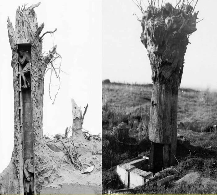 A Fake Tree Used As An Observation Post And Sniper Nest On The Frontline By The British Army During World War I
