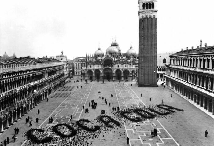 A 1960's Coca Cola Advertisment Made By Spreading Grain For Pigeons In St. Mark's Square, Venice, Italy