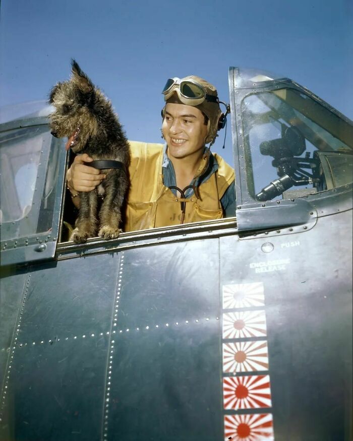 American Pilot Robert L. Brown Of Denver, Colorado, Poses In The Cockpit Of An F6f Hellcat Aboard The Uss Yorktown (Cv-10) Aircraft Carrier With “Scrappy,” The Ship’s Mascot, November-December 1943, In Pacific, World War II