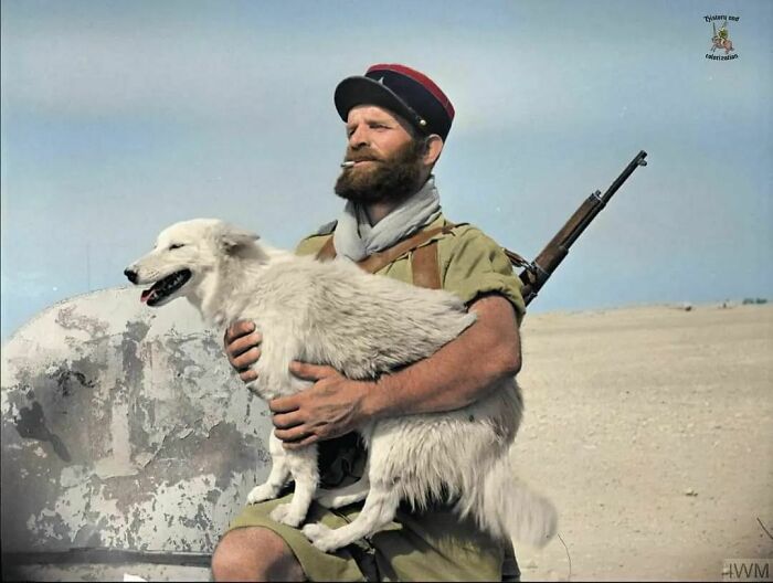 A Soldier Of The French Foreign Legion Holding The Dog "Fritz", The Battalion Mascot, At Bir Hakeim. Fritz "Moved Over To The Other Side" And Joined The Battalion In Narvik In 1940, And Stayed With Them Ever Since