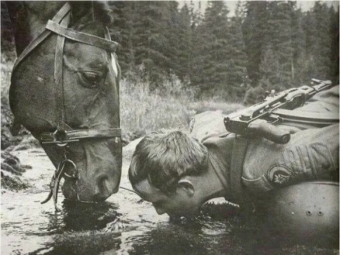 Polish Border Guard And His Horse Drinking Water From The Stream In The Bieszczady Mountains During A Patrol, 1980