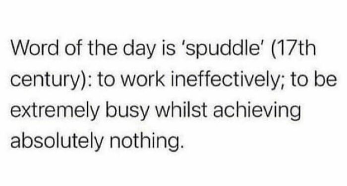 Everyday Is A Spuddle