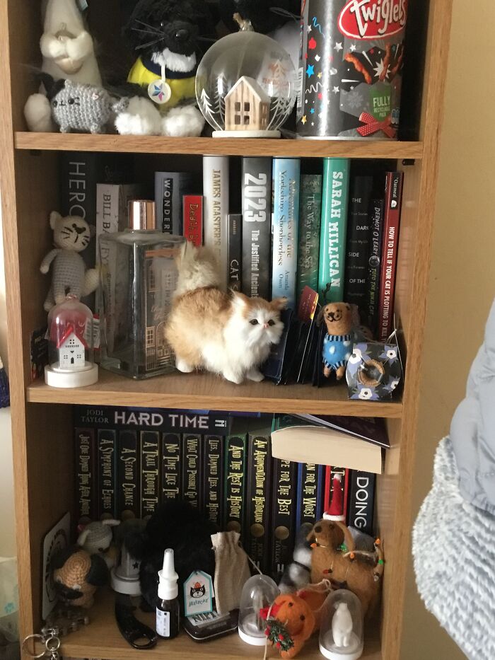 I Am Now Officially Ashamed. Completely Forgot The Twiglets Were There