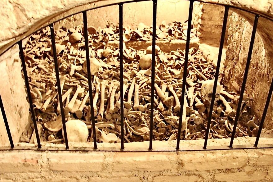 Human Bones And Skulls
