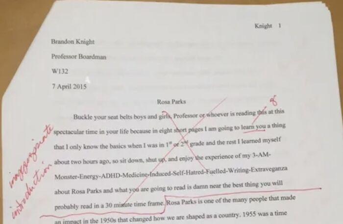 The Best Essay Intro Ever!
