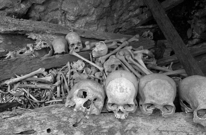 Grayscale photo of skulls and bones
