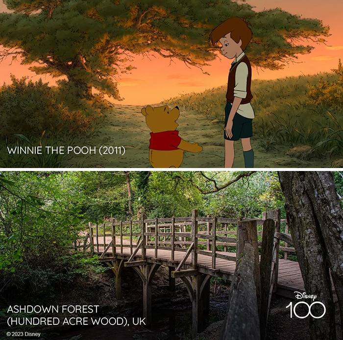 Setting from the movie Winnie The Pooh vs it's inspiration Ashdown forest, UK