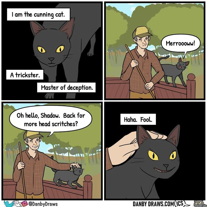 Funny comic about a cat