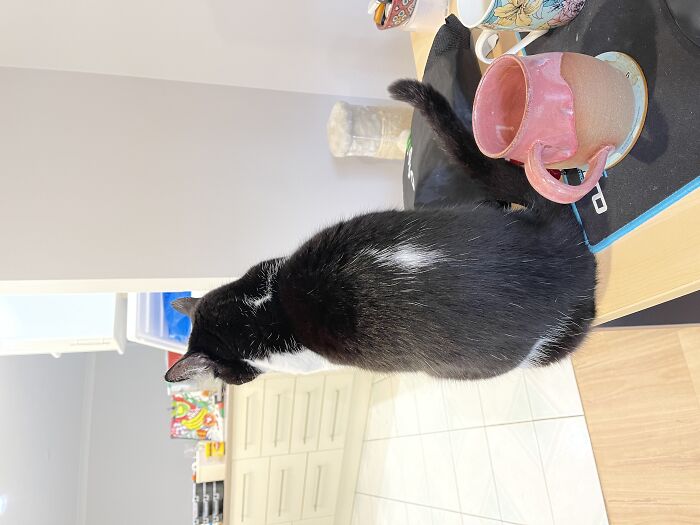 Dinner Is At 4pm. It Is 4.02pm. This Is What I Get