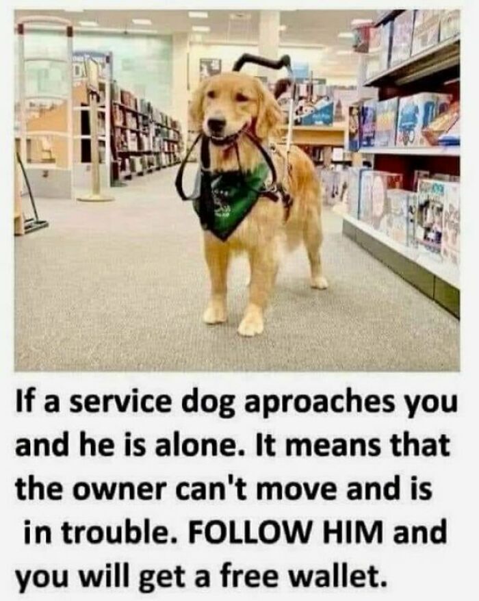 I Collected 20 Thoughts From My Head And Put Random Pictures Next To Them I Collected 20 Thoughts From My Head And Put Random Pictures Next To Them