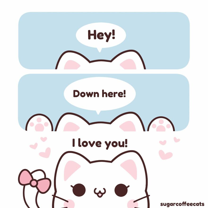 I Created These Cute Cat Comics To Find Joy In The World Again