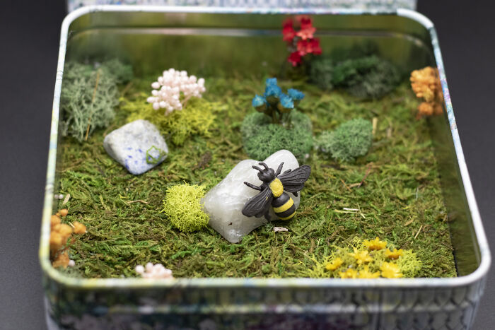 I Make Mini Worlds Out Of Real Flowers And Mosses (22 Pics)