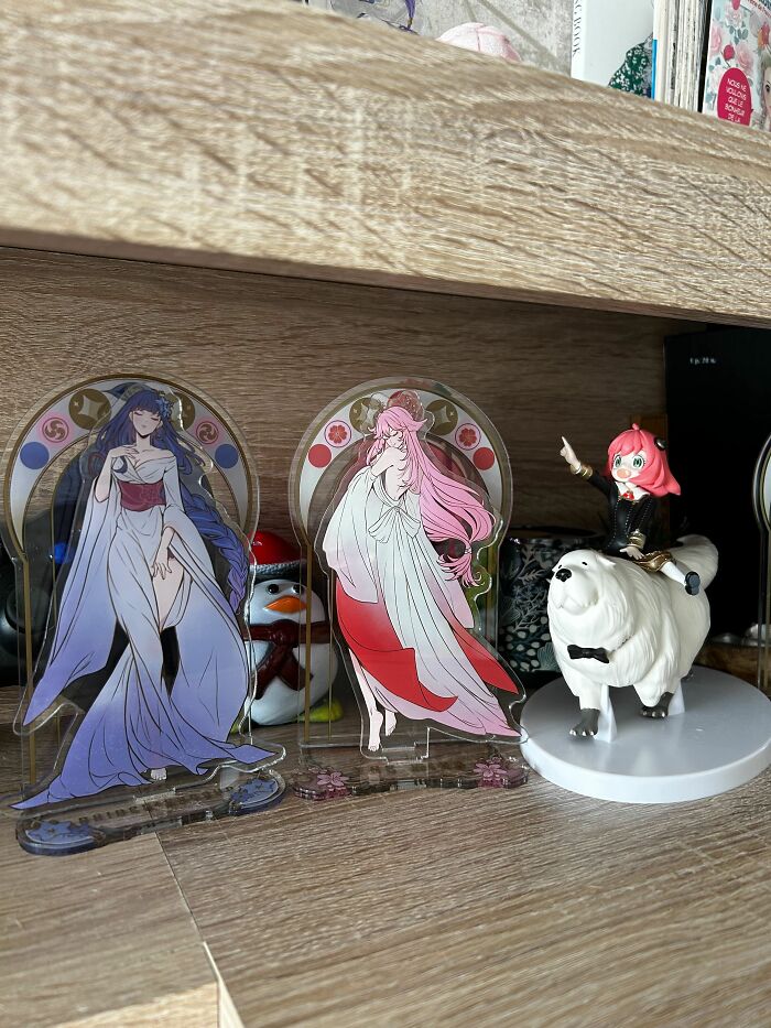 Recent Additions To The Collection