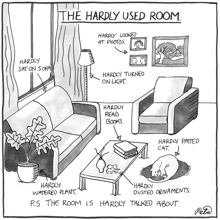The Hardly Used Room