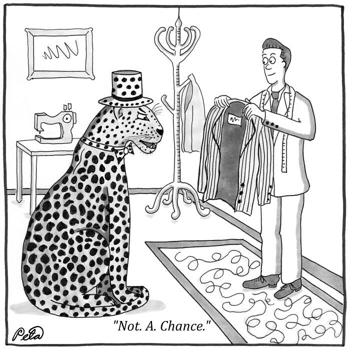 Leopard At Tailors