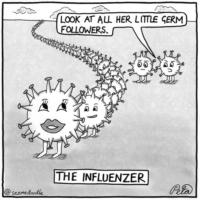 The Influenzer