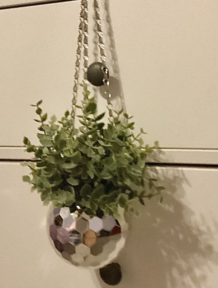 Disco Ball Hanging Plant (I Feel Like There’s A Word For That)