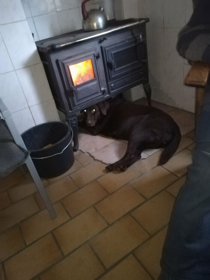 She Isn't Stuck, She Just Loves The Heat