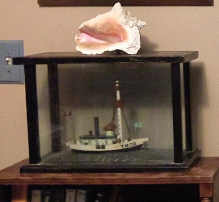 My Great-Grandfather Built This Over 100 Years Ago (The Ship, Not The Shell)