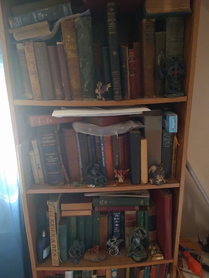 Meet The Dragons That Guard My Antique Book Collection. I Call Them My Book Wyrms