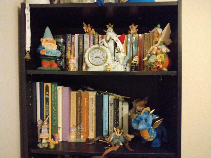 My Fantasy Themed Shelves