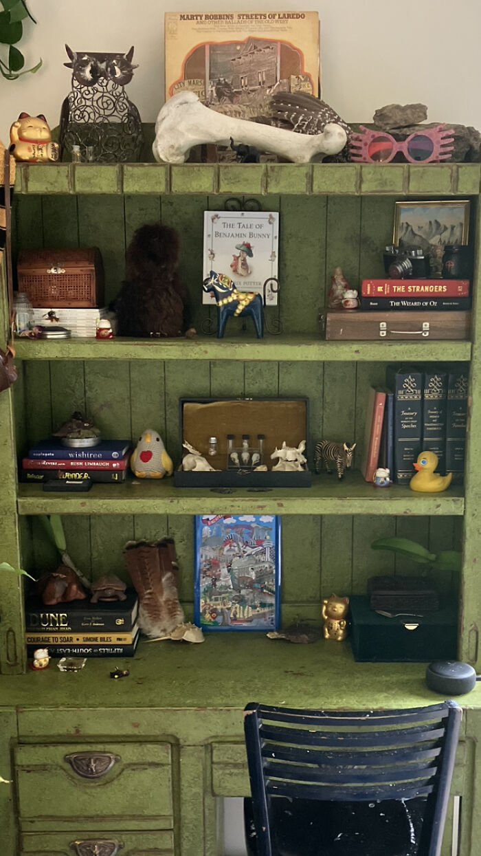 My Collection Of Curios From All Over The World, My Favorites Include And Arctic Fox Skull I Foung In Greenland, My Taxidermie Beetles, And My Great Grandmas Paints