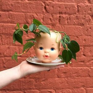 gabbysafterthought1 avatar