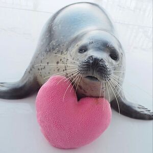 francesrochefort avatar