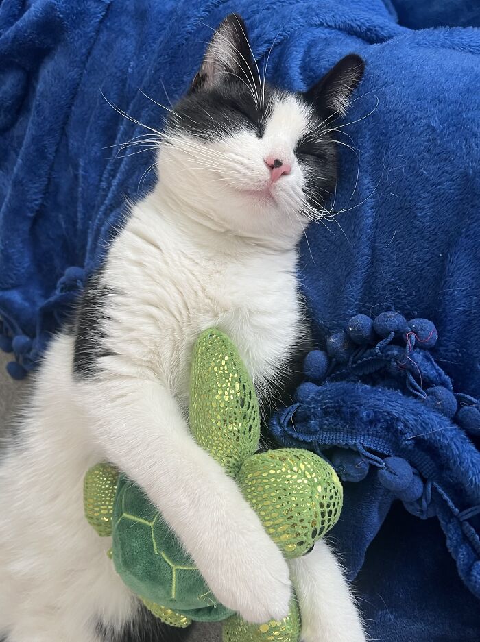 She Loves That Turtle