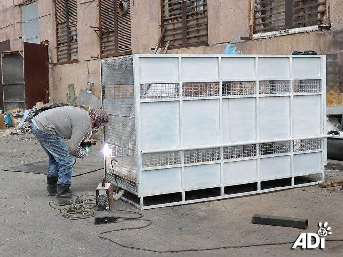 A special cage transporter for lion Ruben A special cage transporter for lion Ruben