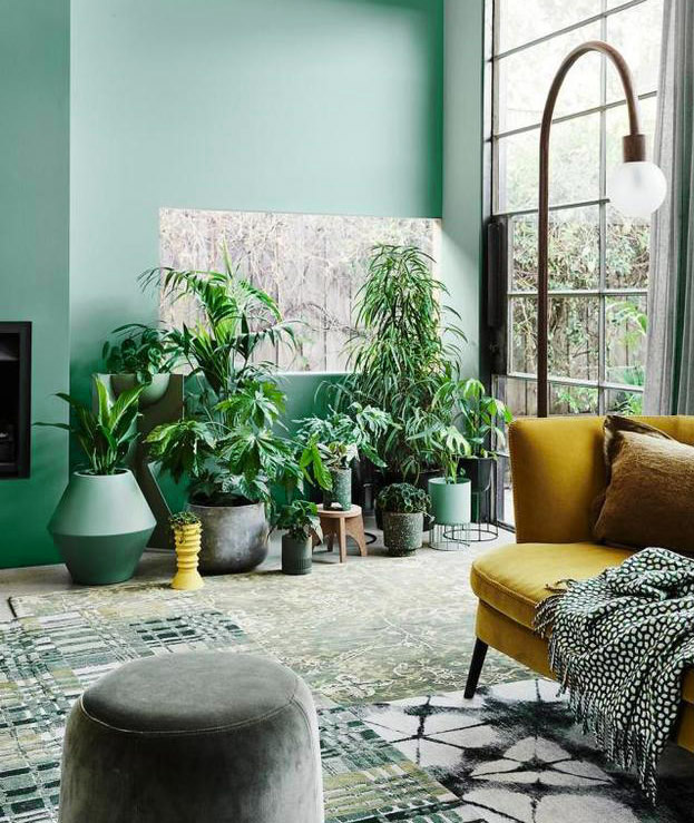 Mint green living room with plants and yellow sofa
