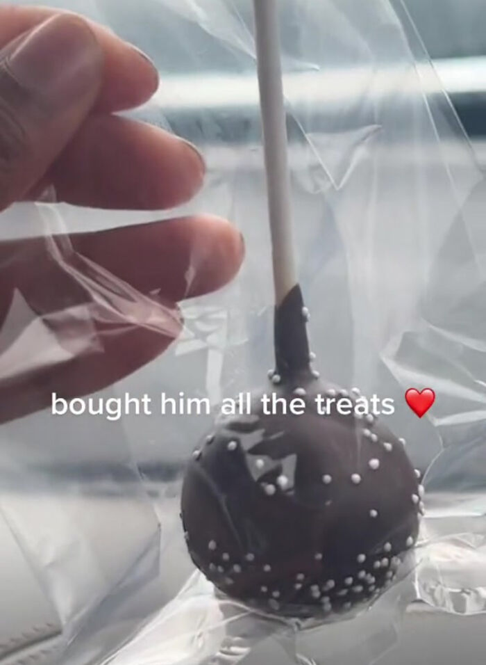 TikTok User Shared Emotional Last Day With Her Dog, Touched Almost 10 Million People Online TikTok User Shared Emotional Last Day With Her Dog, Touched Almost 10 Million People Online