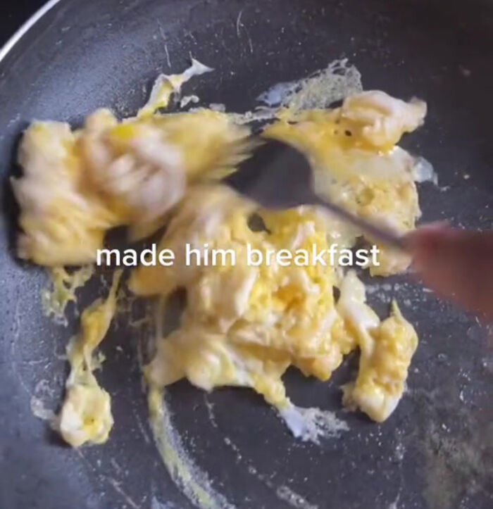 TikTok User Shared Emotional Last Day With Her Dog, Touched Almost 10 Million People Online TikTok User Shared Emotional Last Day With Her Dog, Touched Almost 10 Million People Online