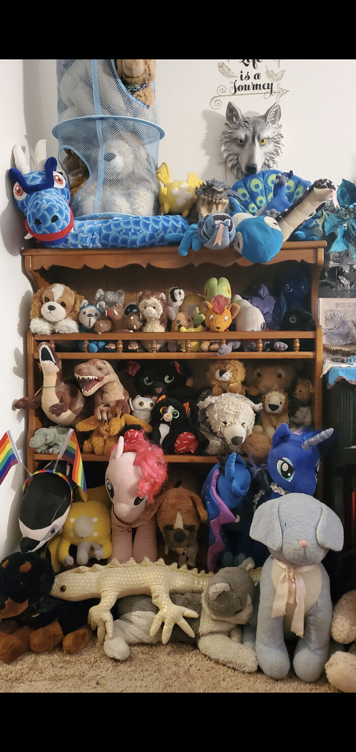 I Bought This Shelf From Habitat For Humanity Specifically Because Of How Many Plushes Are Here