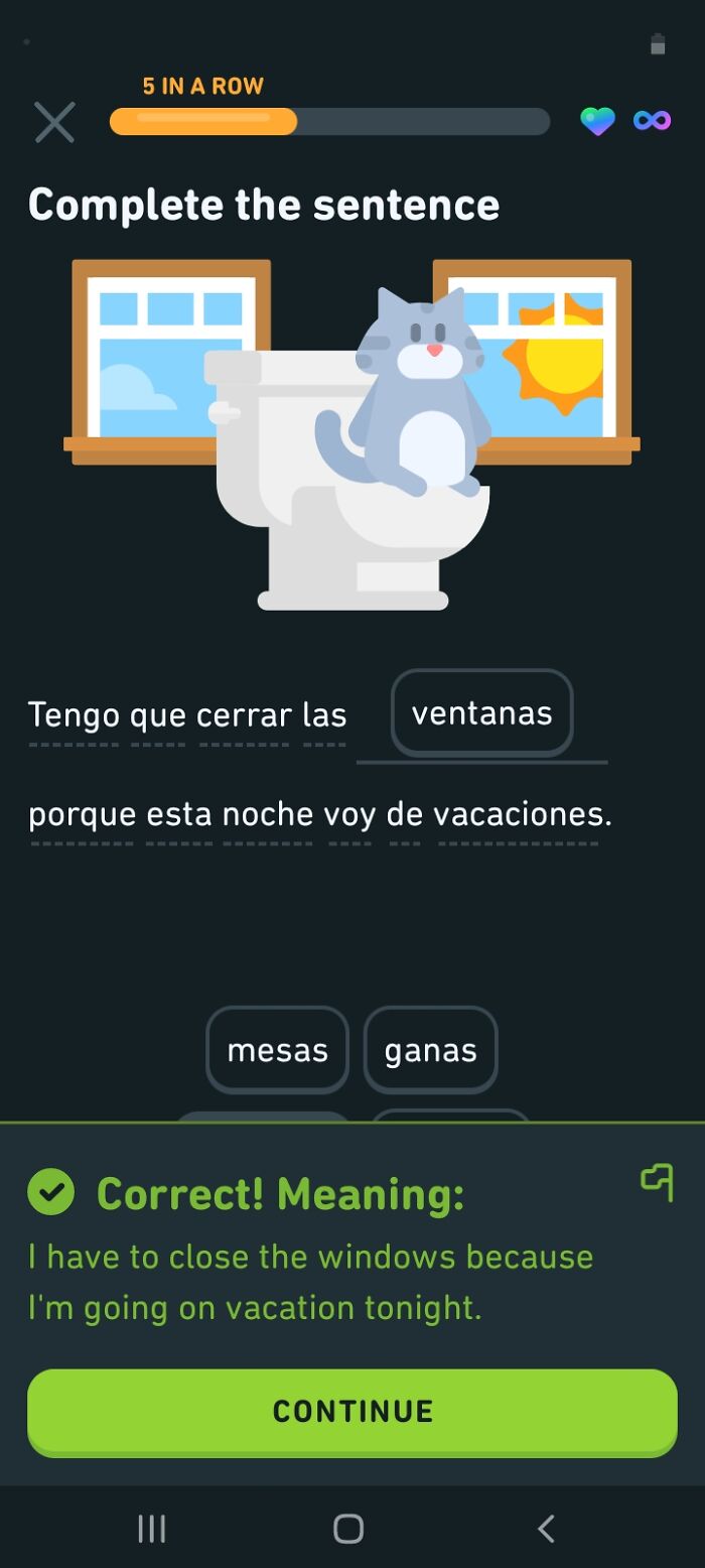 Why Is That Cat On A Toilet, Though?