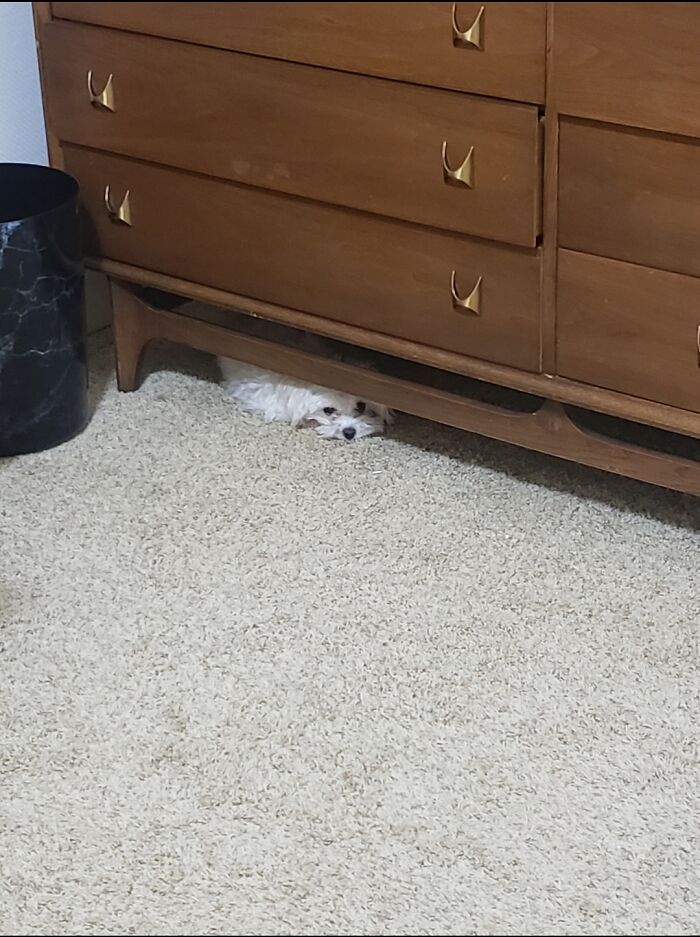 Underneath The Dresser