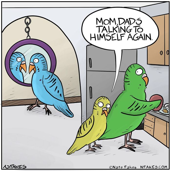 Parrot in the mirror
