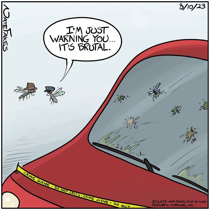 Flies on the car window