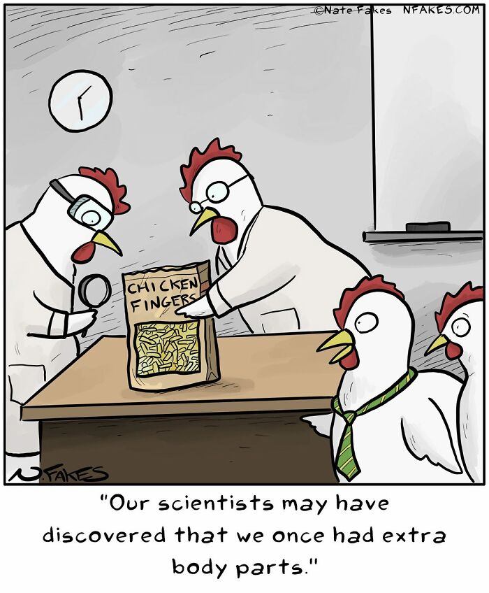 Chicken testing chicken fingers