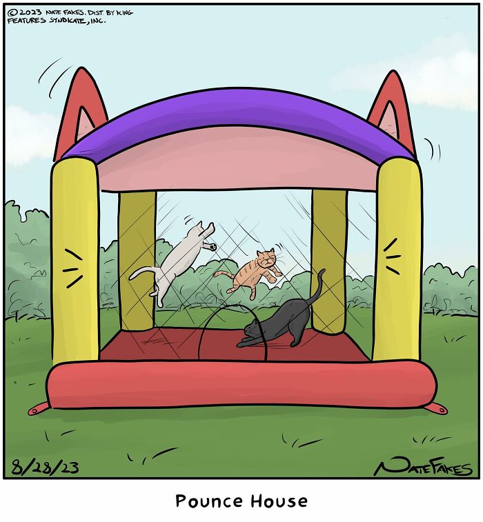 Bouncy castle with pouncing cats