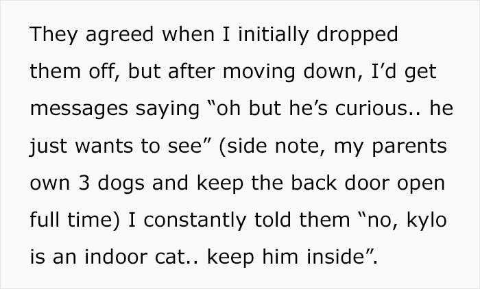 “Oh Stop… It’s Just A Cat”: Woman Bans Parents From Grandkids Following Tragic Pet Incident “Oh Stop… It’s Just A Cat”: Woman Bans Parents From Grandkids Following Tragic Pet Incident