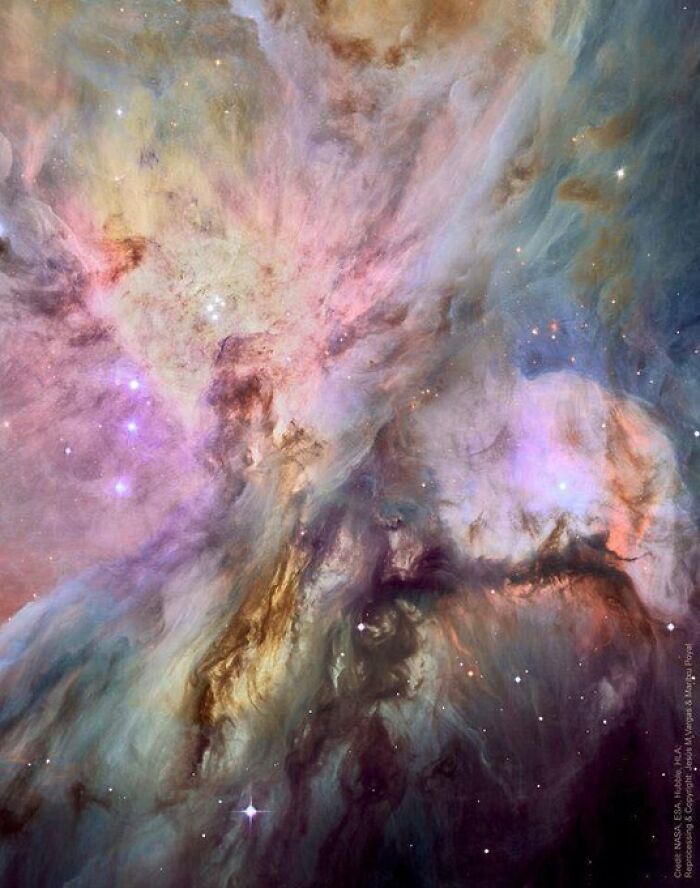 Astronomy Picture Of The Day: The Orion Nebula
