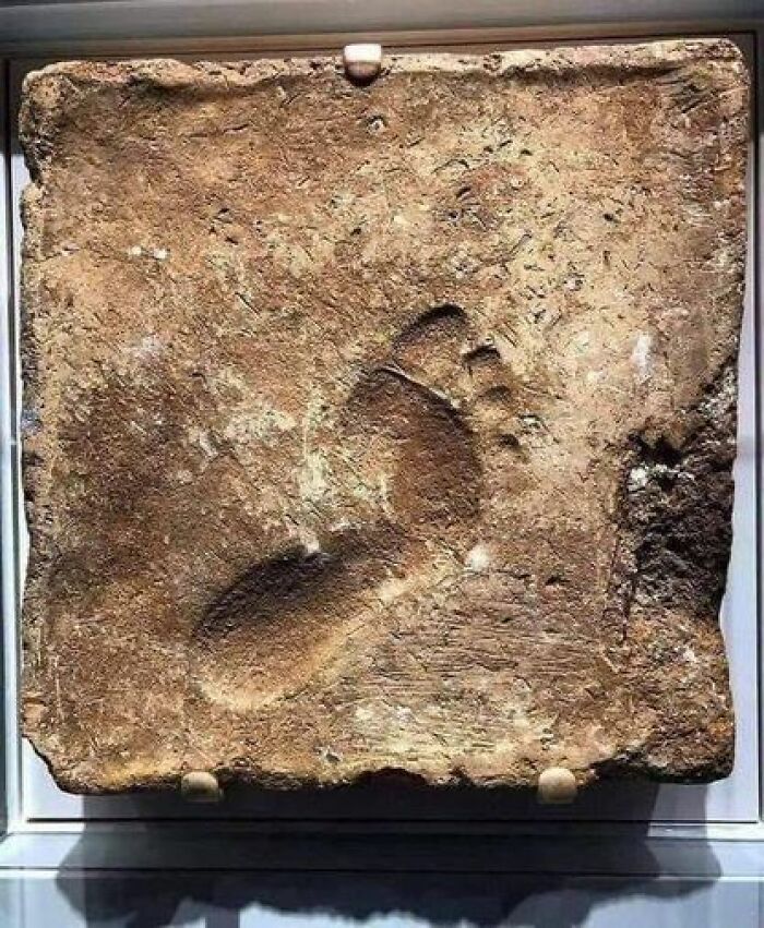 This Footprint Immortalizes A Distant Instant, Dating Back More Than Four Millennia, When An Individual Pressed Their Bare Foot Onto A Sun-Drying Mud Brick. This Occurrence Took Place Around 2000 Bc In The Ancient City Of Ur, Located In What Is Now Modern-Day Iraq. In The Quietude Of That Long-Gone Day, Someone Left An Imprint That Continues To Resonate Through Time. This Simple Act, A Fleeting Interaction With The Earth's Materials, Now Stands As A Tangible Connection To A Civilization That Thrived Centuries Ago. It's A Reminder That The Simplest Gestures Can Etch Profound Echoes Across The Ages