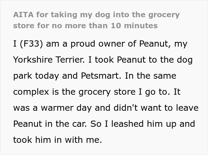 Person Gets Slammed For Taking Their Dog Into The Grocery Store, Vents Online But Finds No Support