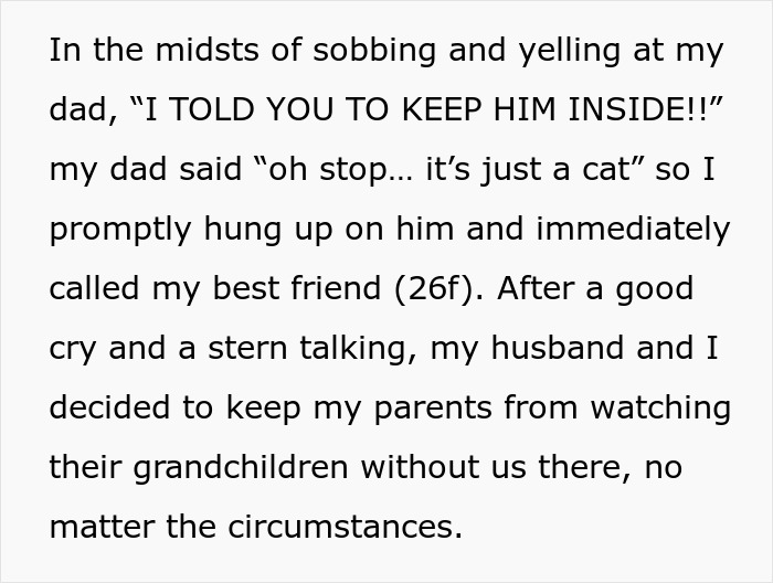 “Oh Stop… It’s Just A Cat”: Woman Bans Parents From Grandkids Following Tragic Pet Incident “Oh Stop… It’s Just A Cat”: Woman Bans Parents From Grandkids Following Tragic Pet Incident