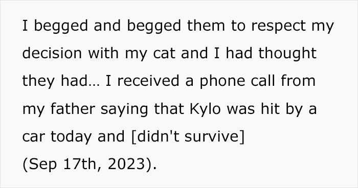 “Oh Stop… It’s Just A Cat”: Woman Bans Parents From Grandkids Following Tragic Pet Incident “Oh Stop… It’s Just A Cat”: Woman Bans Parents From Grandkids Following Tragic Pet Incident