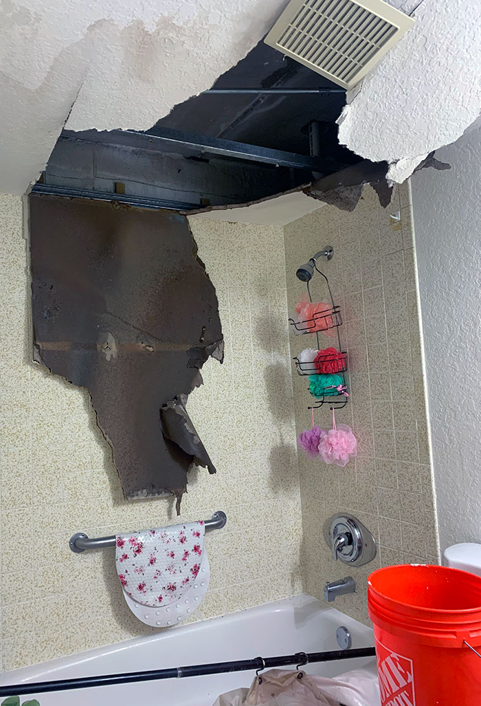 We Left 7 Months Ago. Came Back To This. The Upstairs Neighbor Had A Leak And Never Fixed It