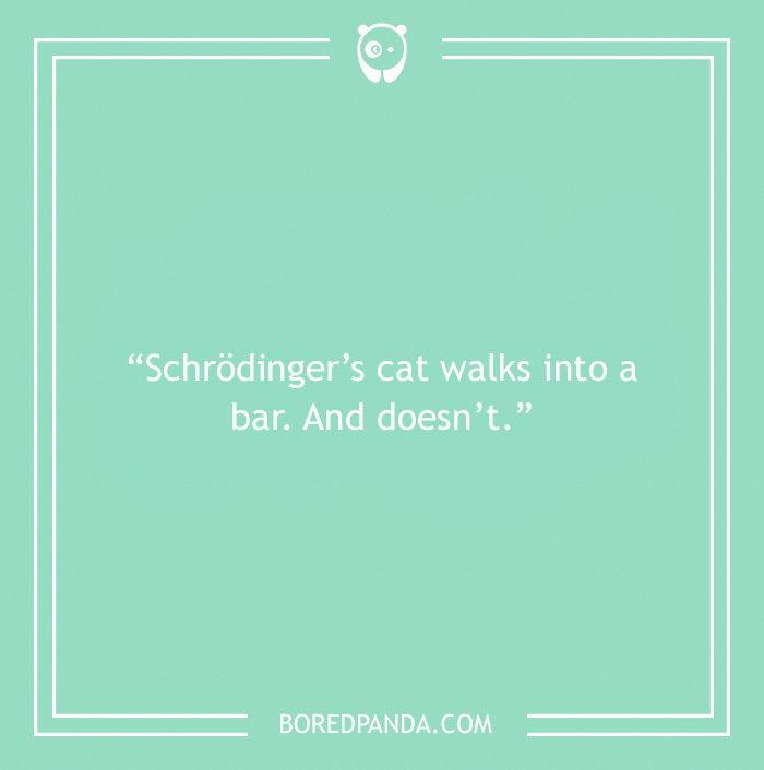 Bar joke about Schrödinger’s cat walking in the bar 